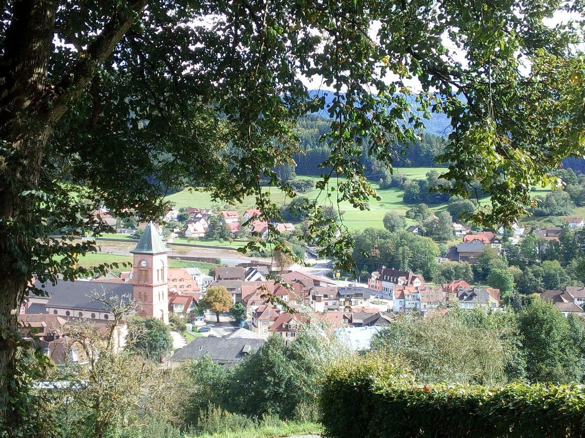 Appartamento Sonnenterrasse Elzach Esterno foto