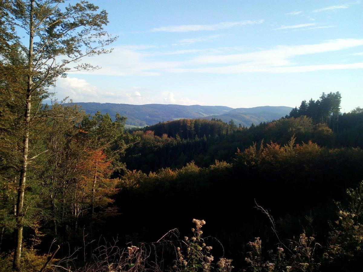 Appartamento Sonnenterrasse Elzach Esterno foto