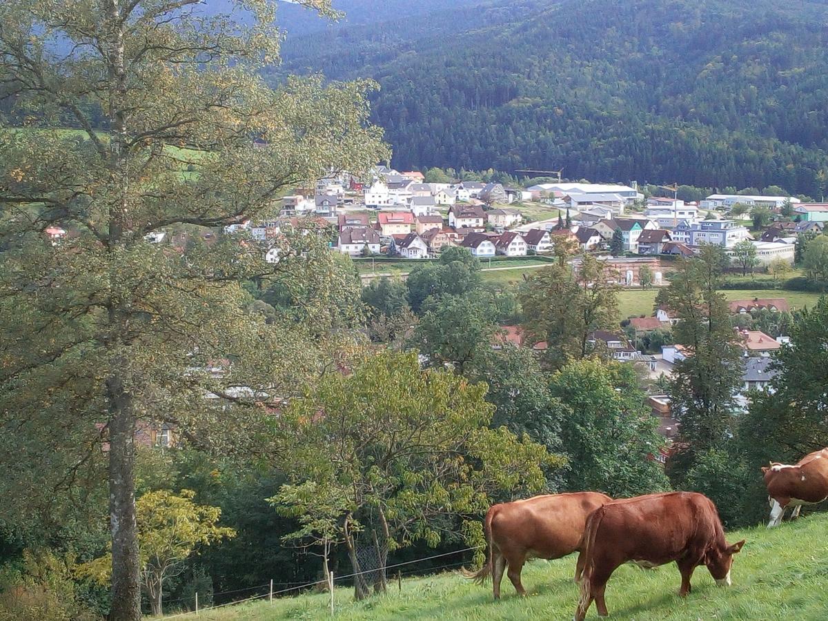 Appartamento Sonnenterrasse Elzach Esterno foto